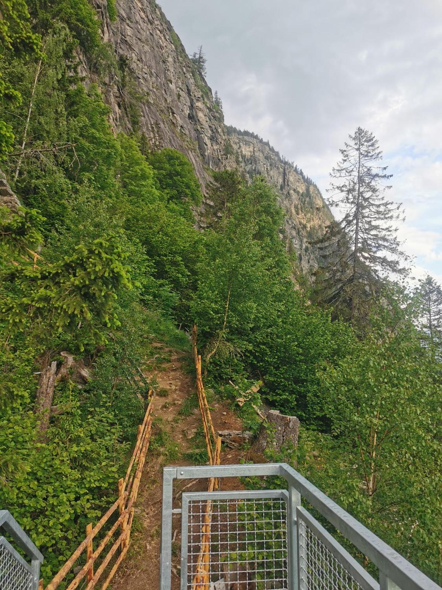 Modern Perauer * Gmünd